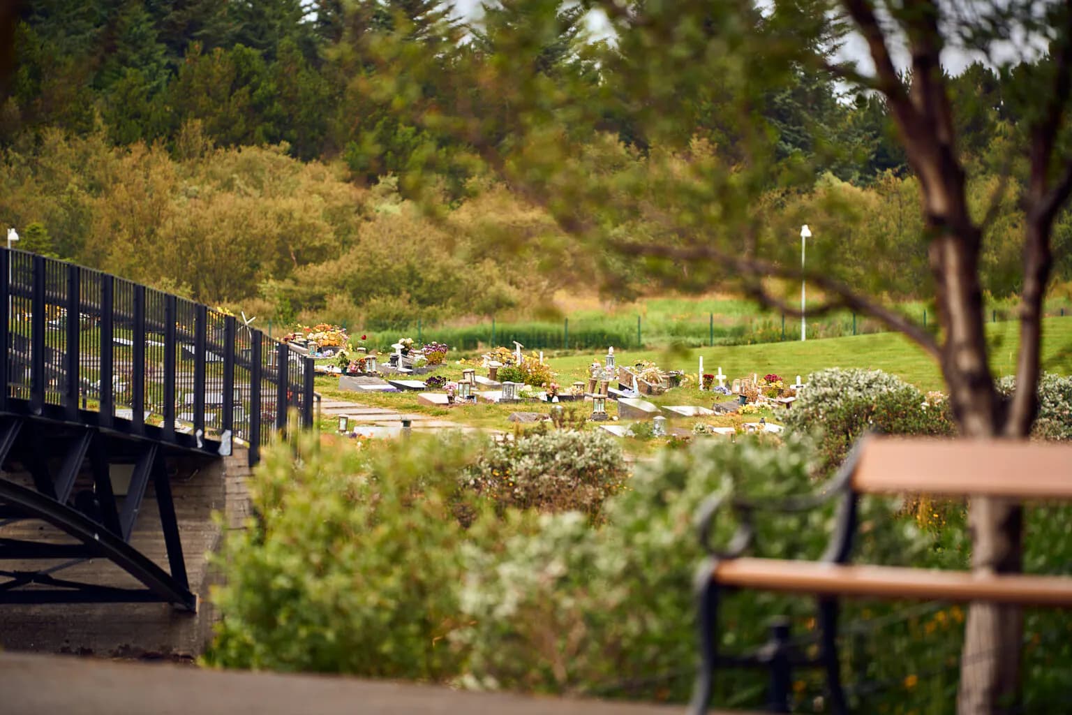 Landscape of Kirkjugarðar cemetery